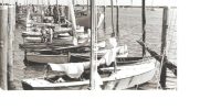 moored_boats2_WBS_1981
